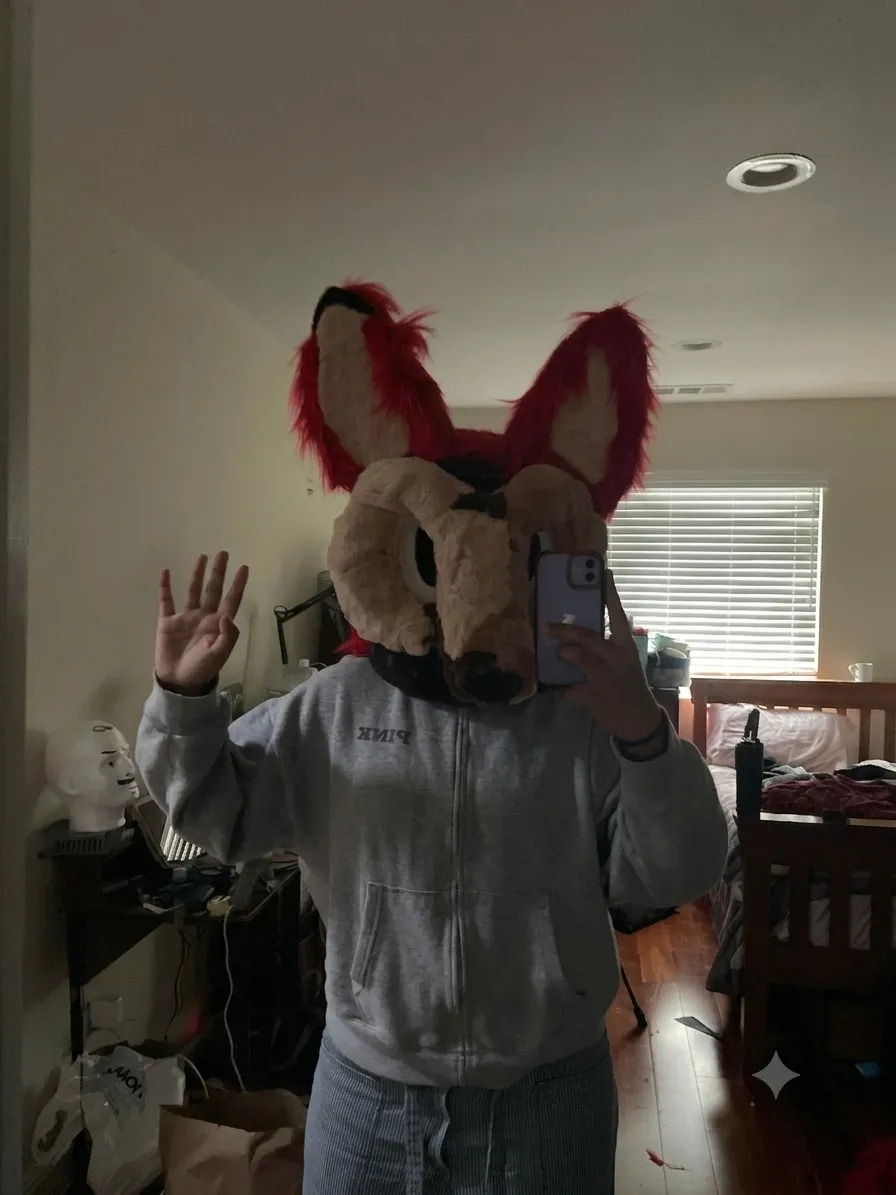 Kangaroo and Joey!
